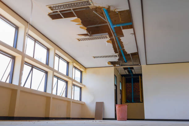 Best Water damage restoration near me  in Big Stone Gap, VA
