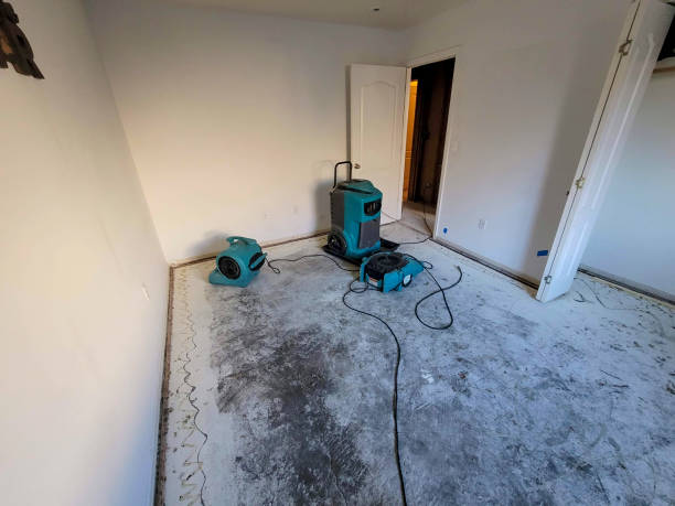 Best Ceiling water damage repair  in Big Stone Gap, VA