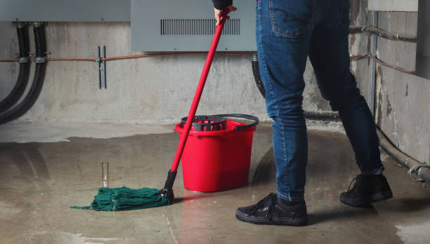 Best Sewage cleanup and water damage restoration  in Big Stone Gap, VA