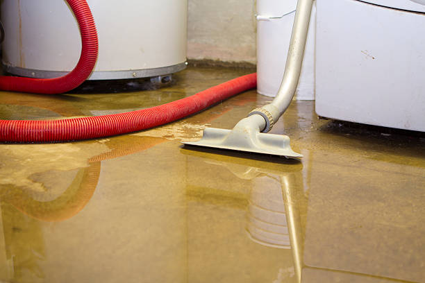 Best 24/7 water damage repair  in Big Stone Gap, VA