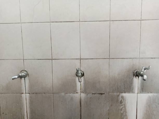 Best Basement water damage restoration  in Big Stone Gap, VA