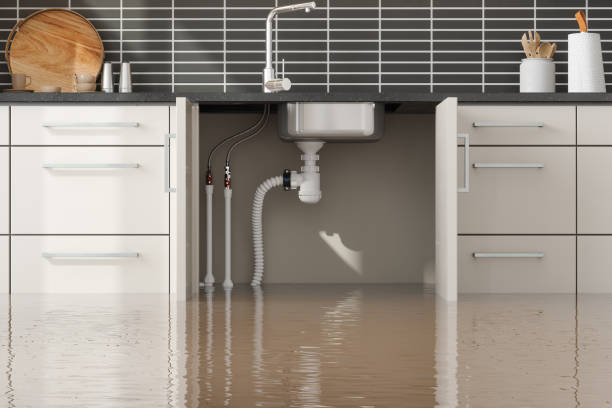 Best Flood restoration services  in Big Stone Gap, VA