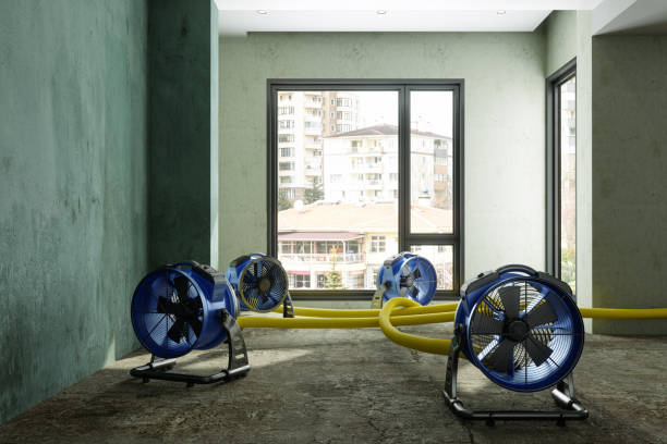 Best Professional water damage repair  in Big Stone Gap, VA